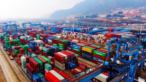 連云港港 暢通航線運輸通道 構建高質量物流網絡